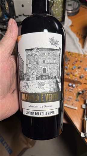 Marche Cantina dei Colli Ripani Diavolo e Vento 2013