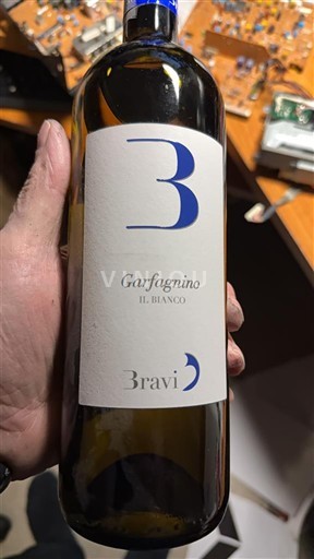 Toscana Garfagnana Bravi Garfagnino Il Bianco 2023