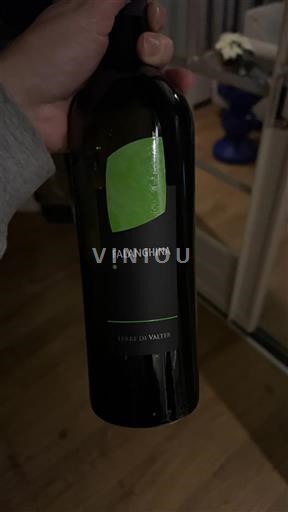 Campanie Không được chỉ định Terre di Valter Không niên vụ