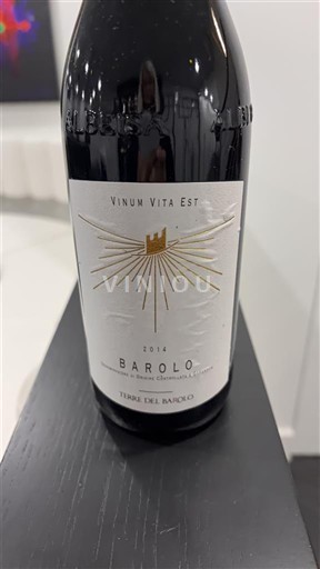 Piemonte Barolo Terre del Barolo 2014