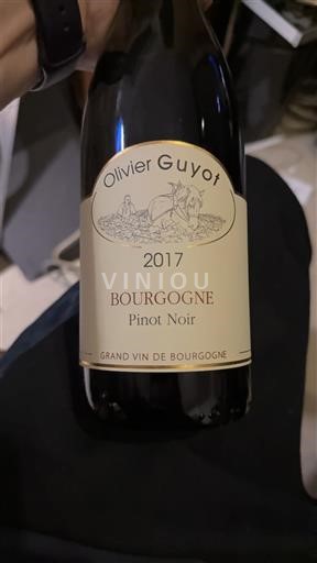Burgundija Olivier Guyot Pinot Noir 2017