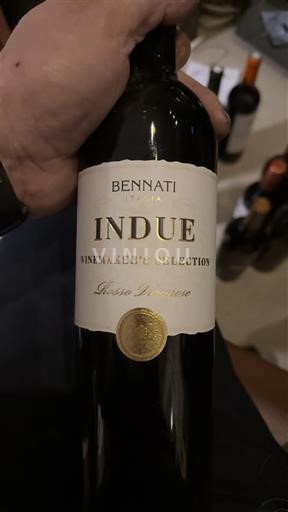 Vénétie Rosso del Veronese Bennati Indue - Winemaker's Selection 2018