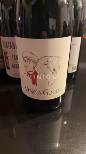 Languedoc Vino a Gogo 2024