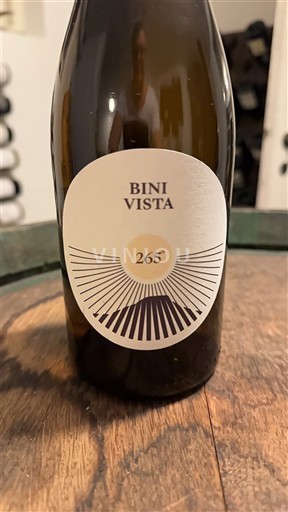 Quần đảo Balearic Bini Vista 265 2022