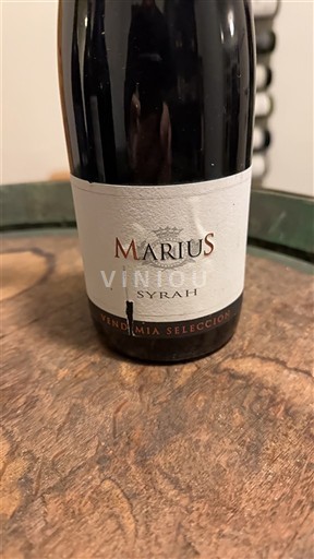 Linguadoca e Rossiglione Paese d'Oc Marius Vendimia Seleccionada 2006