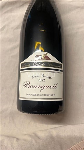Valle della Loira Bourgueil Domaine S Chesnaies Prestige 2022