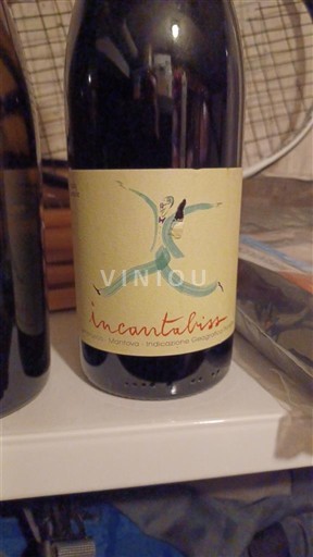 Languedoc in Roussillon Saint-Guilhem-le-Désert Domaine Les Vignes d'Olivier Incantaliss 2022