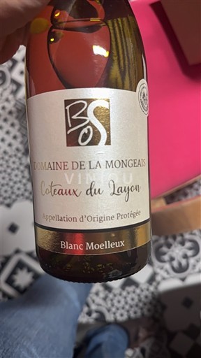 Valle della Loira Coteaux-du-Layon Domaine La Mongeais Senza annata