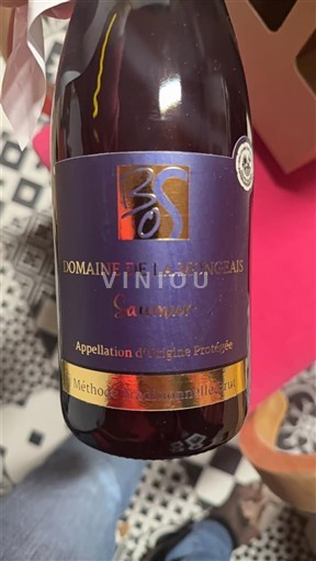 Valle della Loira Saumur Domaine La Mongeais Senza annata