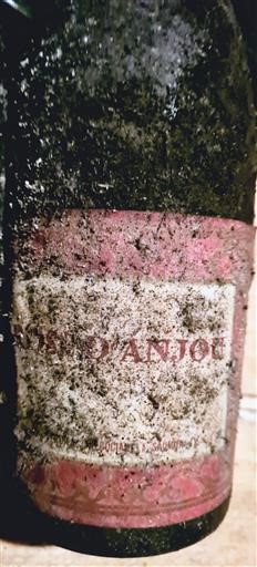 Thung lũng sông Loire Rosé d'Anjou Inconnu Không niên vụ