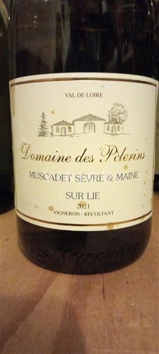 Valle della Loira Muscadet Sèvre et Maine Domaine S Pèlerins 2021