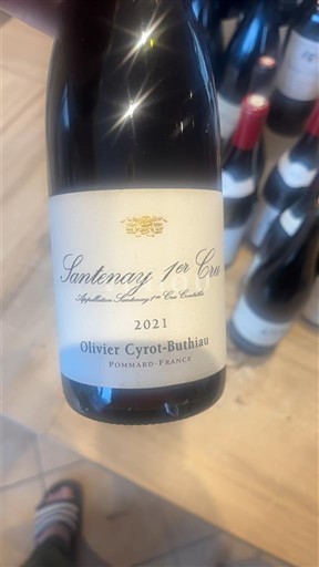 Vine Rouge sec Olivier Cyrot-Buthiau 2021 Frankrig Bourgogne Santenay AOC Premier Cru