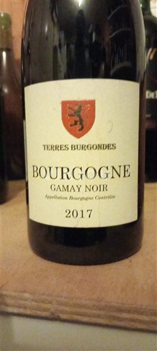 Bourgogne Bourgogne Côte d'Or Terres Burgondes Jarod Gamay Noir 2017