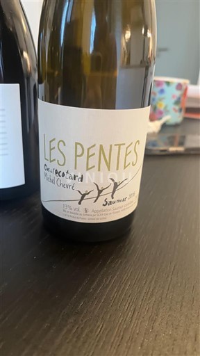 Loirevallei Saumur Michel Chevré Les Pentes 2016