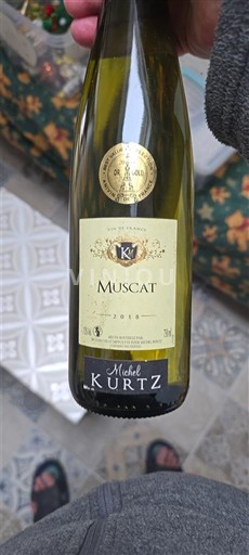 Alzacija Ni doloceno Michel Kurtz 2018