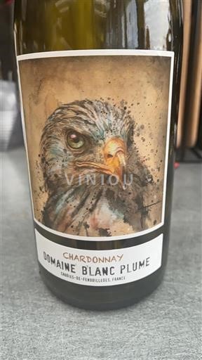 Languedoc ja Roussillon Côtes de Thongue Domaine Blanc Plume Chardonnay Ei vuosikertaa