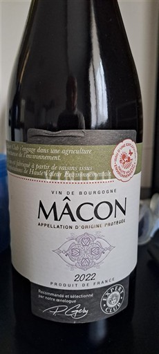 Vini Blanc sec Château Château 2022 Francia Borgogna Mâcon e Mâcon-Villages AOC