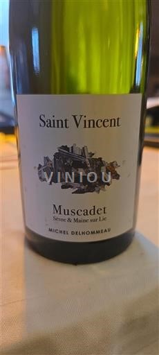 Vallée de la Loire Michel Delhommeau Saint Vincent 2022