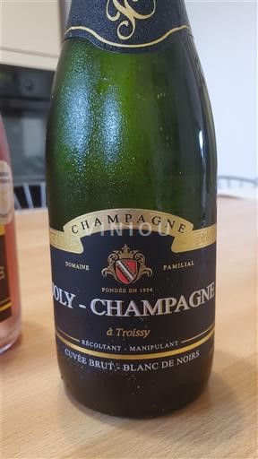 Šampanja Šampanjec Joly-Champagne Brut - Blanc de Noirs Neleten.