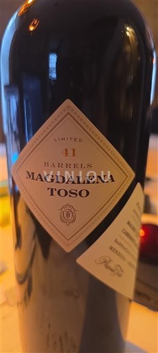 Mendoza Toso Magdalena 2017