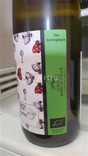 Alsácia Cave de Ribeauvillé Não Sazonado