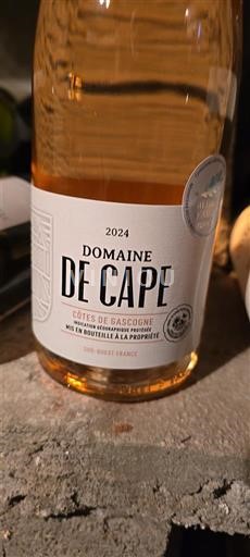Sydväst Côtes de Gascogne Domaine Cape 2024