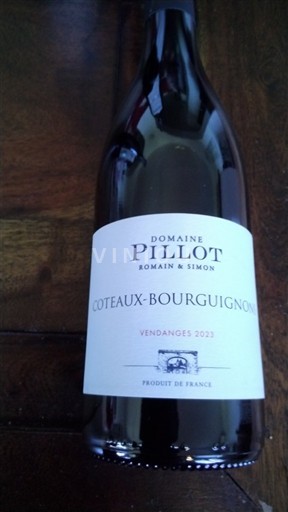 Bourgogne Coteaux bourguignons Domaine Pillot 2023