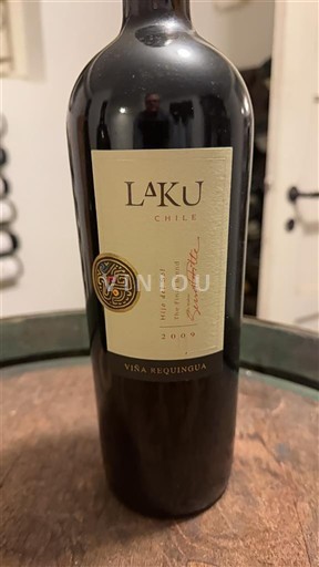 Vale do Maipo Maipo Central Viña Requingua Laku 2009