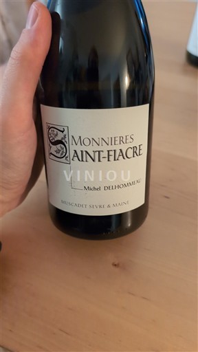 Valle della Loira Muscadet Sèvre et Maine Michel Delhommeau Monnières Saint-Fiacre 2009