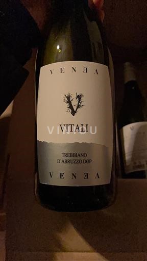 Abruci Trebbiano d'Abruzzo Venea Vitali 2024