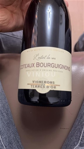 Bourgogne Coteaux bourguignons Vignerons Terres d'Or L'Instant de 1974 Không niên vụ