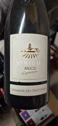 Valle della Loira Anjou Domaine S Trottières Expression 2018