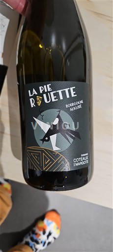 Bourgogne Bourgogne-aligoté Domaine Coteaux des Margots La Pie Ruette 2024