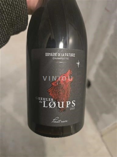 Jura Không được chỉ định Domaine La Paturie Gueules de Loups 2022