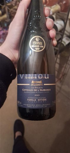 Valle della Loira Coteaux-de-l'aubance Domaine Dittière Les Bouejets 2023