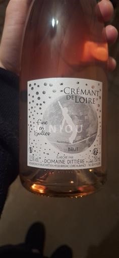 Loire Valley Crémant de Loire Domaine Ditiére Fine en Bulles Non-Vintage