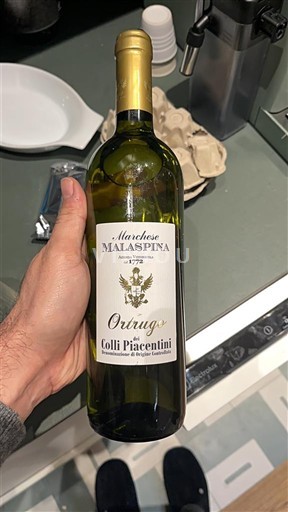 Emilia-Romagna Colli Piacentini Marchese Malaspina Ortrugo 2019