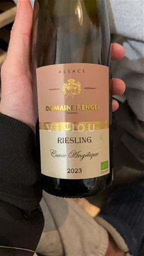 Alsace Määrittelemätön Domaine Fengel Angélique 2023