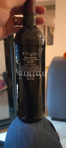 Tây Nam Gaillac Famille guibaud Emotion Không niên vụ