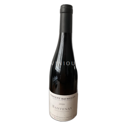 Burgund Santenay Vincent Bachelet 2020