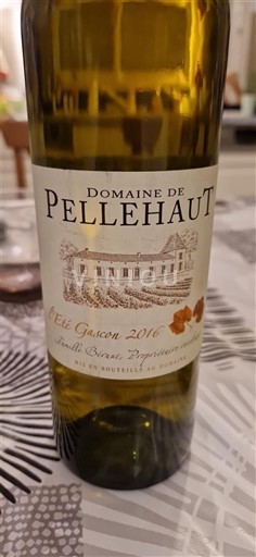 Tây Nam Côtes de Gascogne Domaine Pellehaut L'Été Gascon 2016