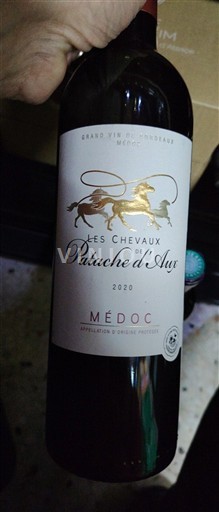 Bordeaux Médoc Patache d'Aux Les Chevaux de Patache d'Aux 2020