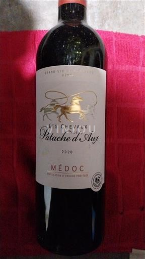 Bordeaux Médoc Patache d'Aux Les Chevaux de Patache d'Aux 2020