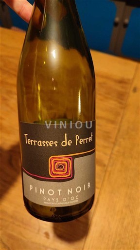 Linguadoca e Rossiglione Paese d'Oc Terrasses de Perret 2024