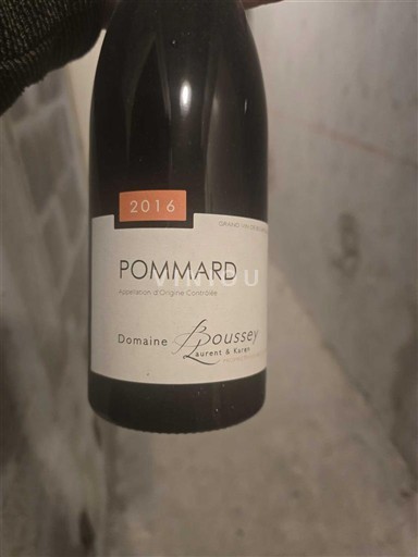 Burgundy Pommard Domaine Boussey 2016