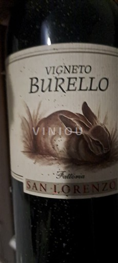 Marche Rosso Piceno Fattoria San Lorenzo Vigneto Burello 2006