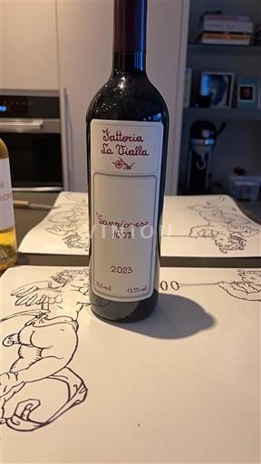 Toscana Không được chỉ định Fattoria La Vialla Sangiovese 100% 2023