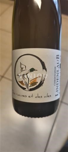 Alsácia Christophe Lindenlaub Des racines et des ailes 2019