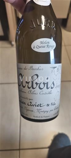 Jura Arbois Lucien Aviet & Fils de Bacchus Melon à Queue Rouge 2023
