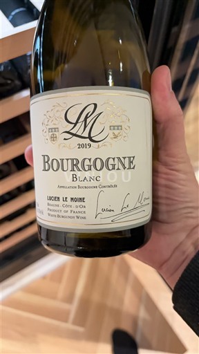 Vini Blanc sec Lucien Le Moine 2019 Francia Borgogna AOC